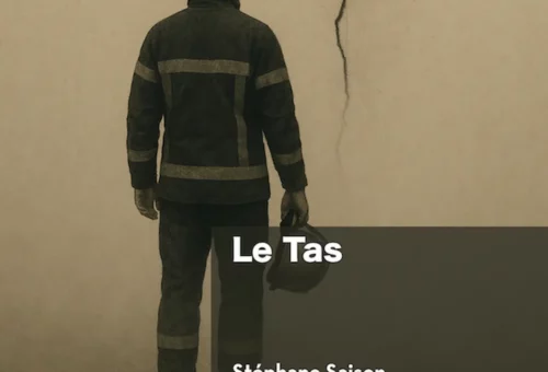 Association APTE, couverture du livre "le Tas"" chez Édilivre